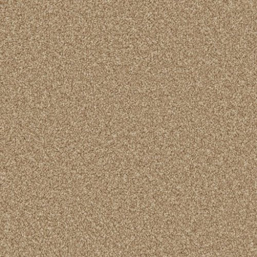 Cormar Apollo Plus Stepping Stone Carpet at £15.99