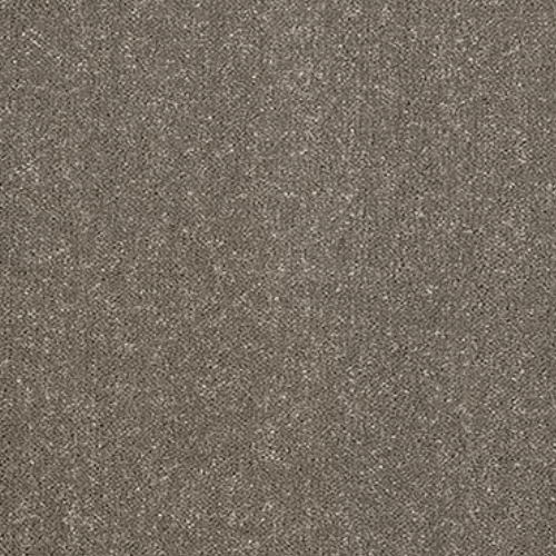 Allure Stainfree Carpet Jasper at £18.49