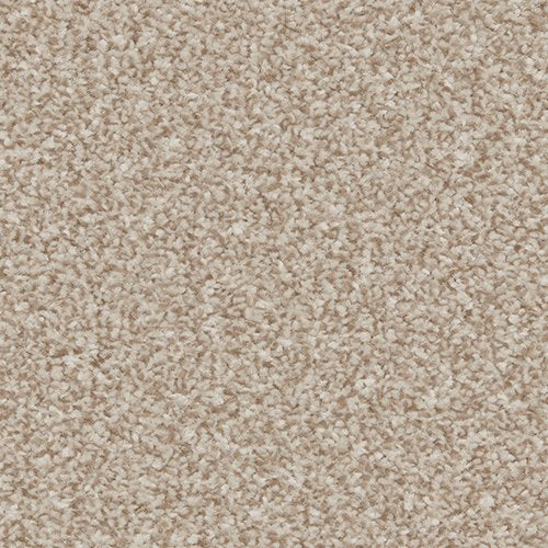Premium Carpet Almond